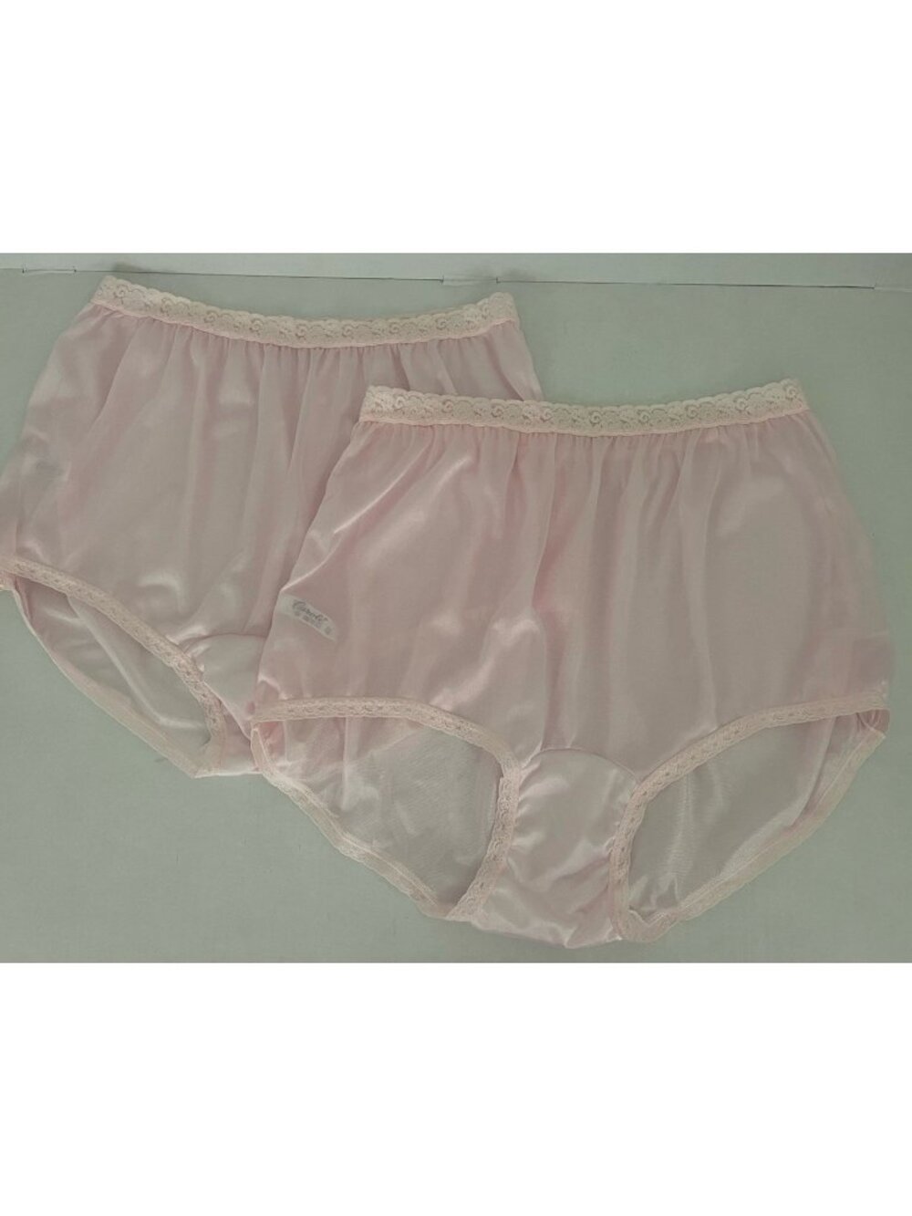 Vintage Carole Women's 12 100% Nylon Pink Panty Panties Granny Lace Waistband 2p
